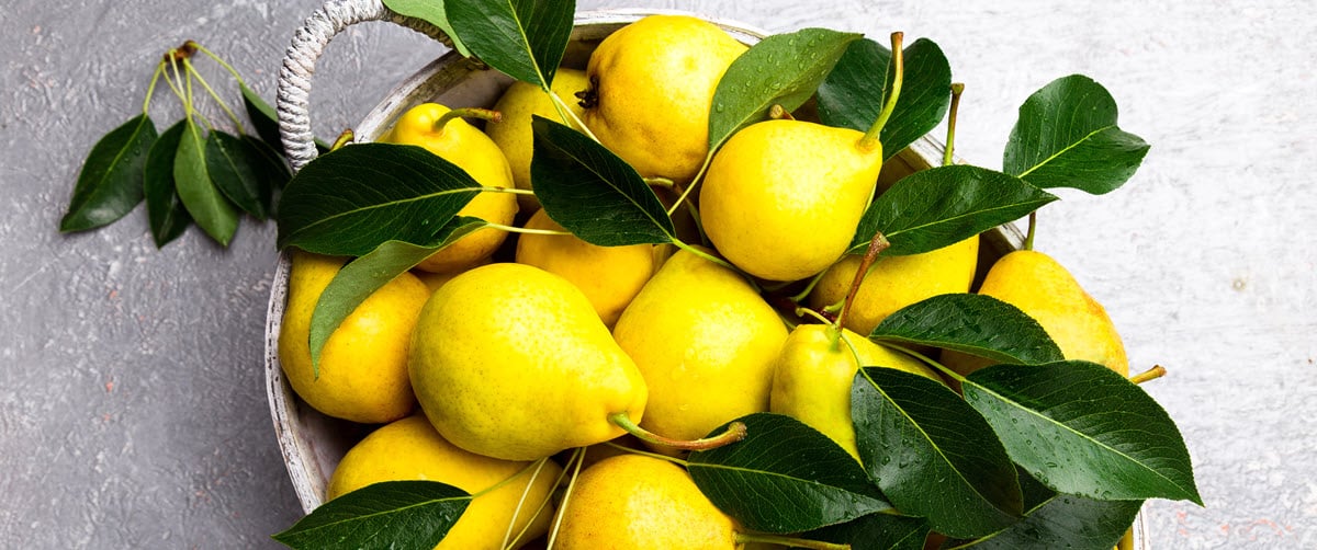 Sukkot 1