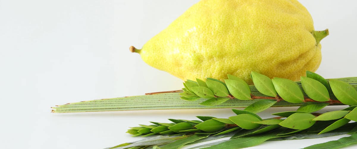 Sukkot